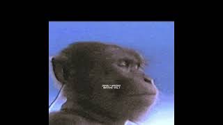 DEADLY SPECIES MIXTAPE VOL.1