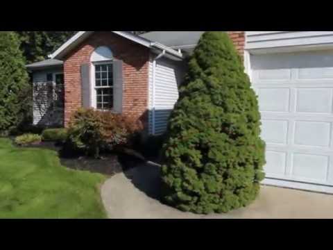 4739 Queen Anne Ave, Lorain, OH home video tour