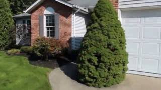 4739 Queen Anne Ave video tour
