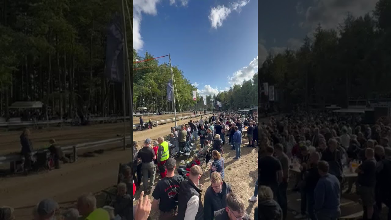 Uschi in Alfstedt 2025