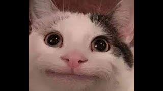 Cataclysm 71% go at 40