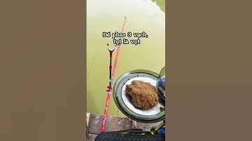 Cách sử dụng phao hố đấu giật chép đừ tay #shorts #duythamcau #thamcau #kythuatcaudai #fishing