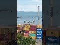 Countervailing Duties vs Anti-Dumping: How They ACTUALLY Work