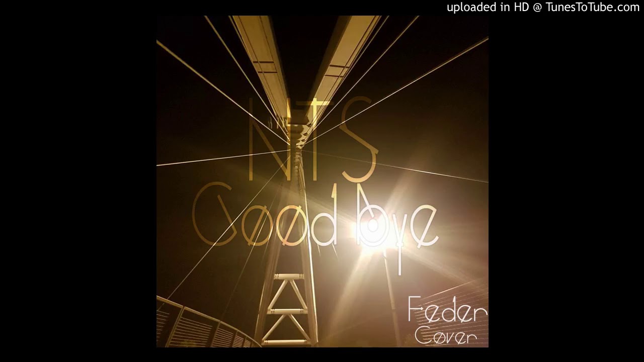 Feder Goodbye (Cover by NTS) YouTube
