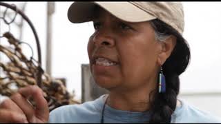 Timecode: NOLA | EP. 512 (2010)