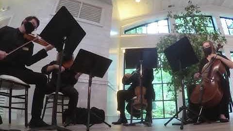 Everything/Michael Buble/string quartet cover