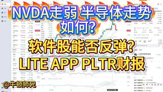 NVDA走弱，半导体走势如何？软件股能否反弹？LITE、APP、PLTR财报。