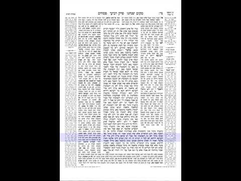 פסחים דף נה 1