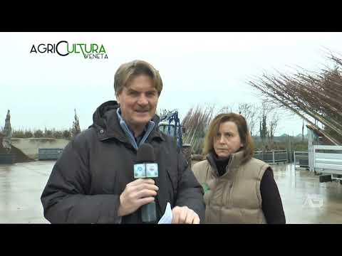 AGRICULTURA VENETA  | 09/01/2022 20:10