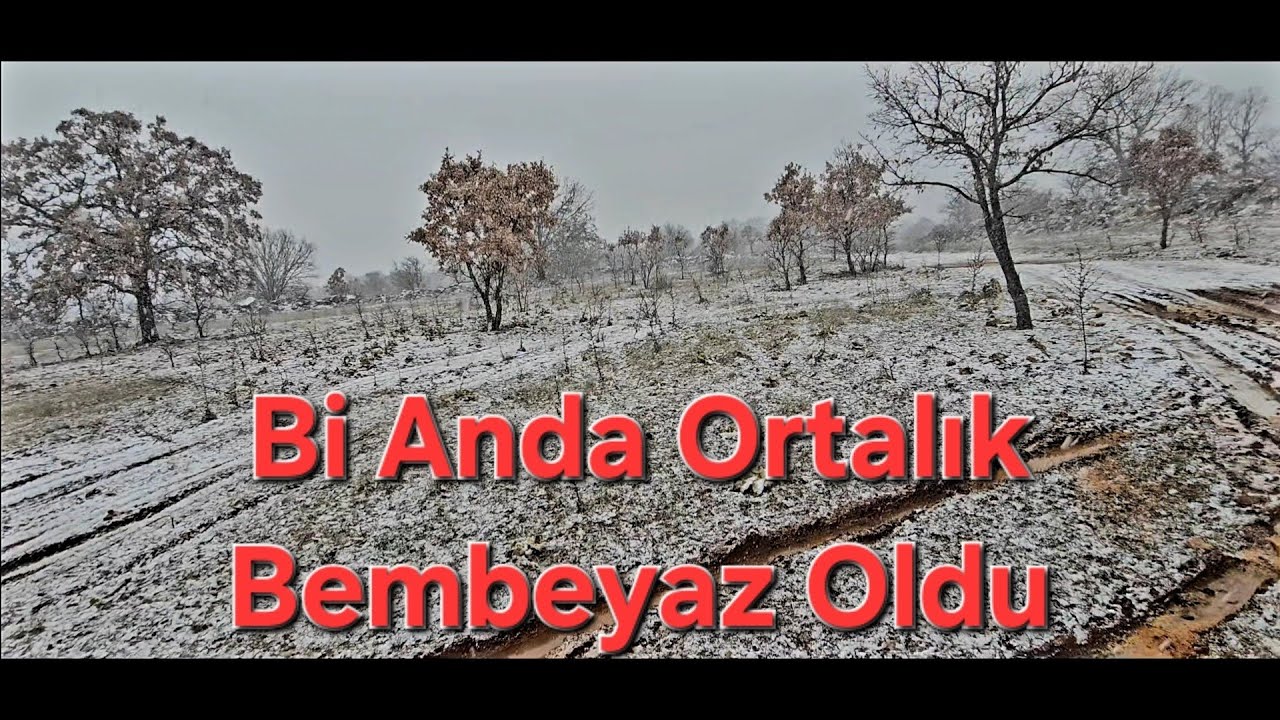 Merada Kar Bastırdı Ortalık Bembeyaz Oldu