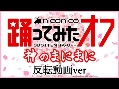 【反転】【踊オフ2021】「神のまにまに」踊ってみたからみんなで踊りたい!!!