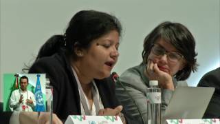 IGF 2016 - day 4 - PLENARY - IGF Best Practice Forums (BPFs) - FLOOR