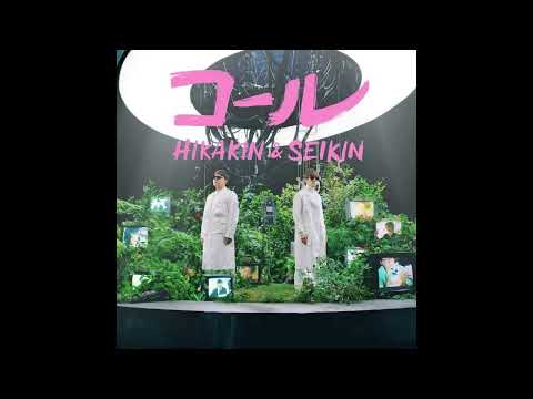 HIKAKIN SEIKIN コール Instrumental Off Vocal カラオケ