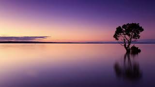 Calm the Mind, Stop the Worry, Heal the Hurt Within  - Mimi Novic