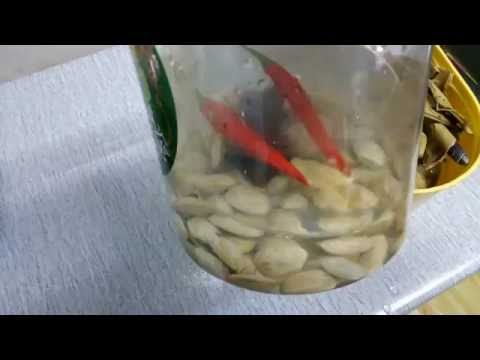 Resepi Oren Manis Pita Petay Bahagian 2