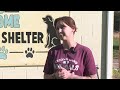 Jerome Animal Shelter keeps no-kill status, offers free October adoptions