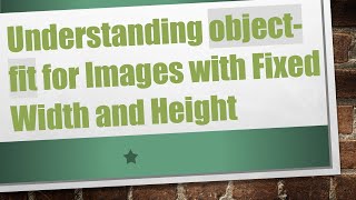 Understanding object-fit for Images with Fixed Width and Height Wealth