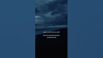 يا أَيُّهَا الَّذينَ آمَنُوا اركَعوا وَاسجُدوا 💙💙 | سورة الحج