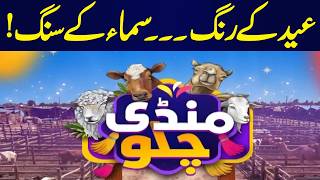 Eid ul Azha Preparations In Full Swing Across Country | Eid Kay Rung Samaa Kay Sung | Mandi Chalo
