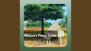 Silver as Diamond Flame screenshot 5