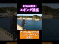 【お悩み解決！】エギングでついやってしまいがちなフリーフォールの注意点