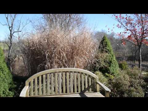 Panasonic LUMIX DMC-GM5 Sample Video
