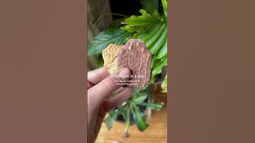 What I eat in a day as a Sport Nutritionist & Exercise Physiologist