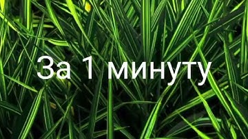 Трава в Blender за одну минуту