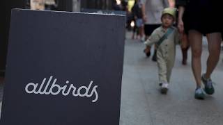 Myseum Takes Flight After Allbirds In Fresh Ai Rebrand Wave