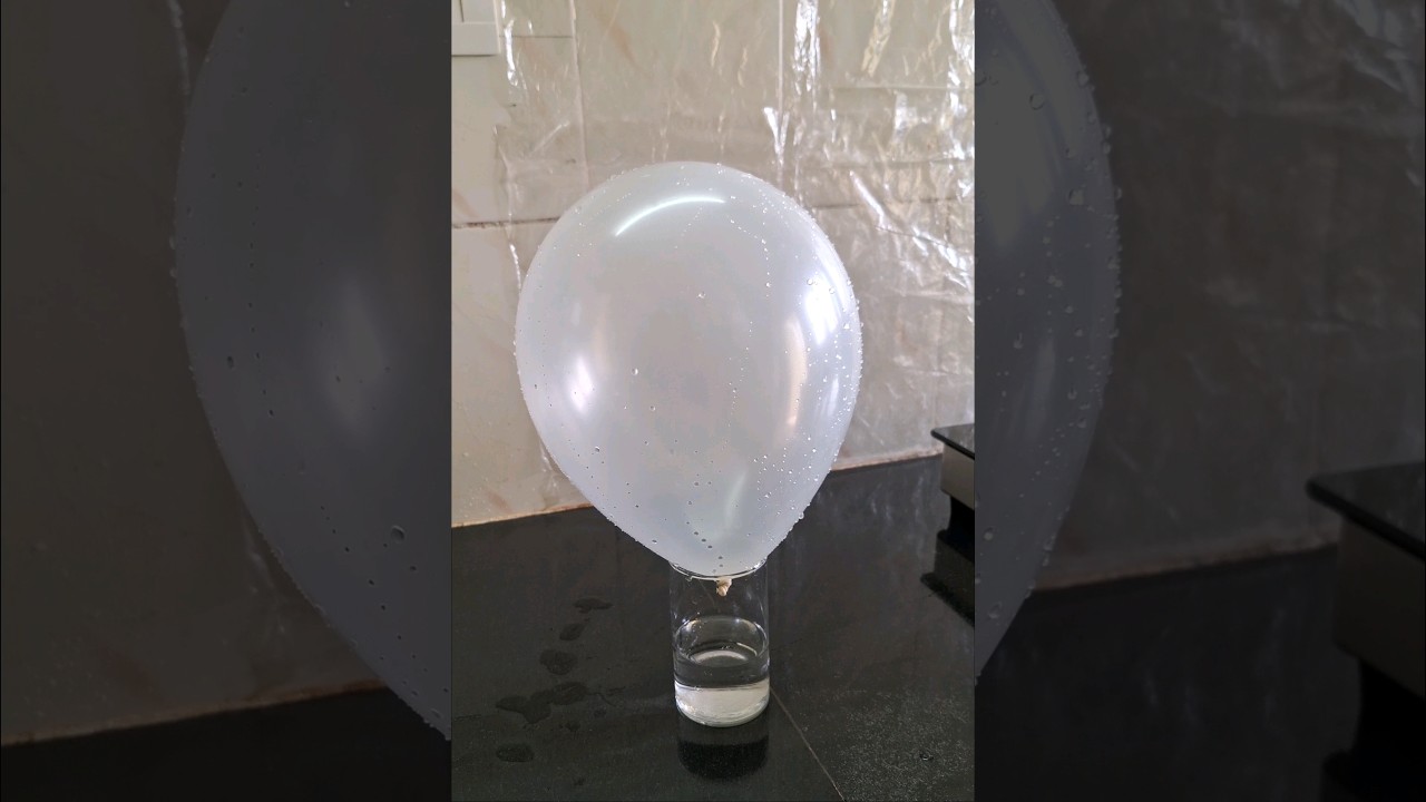 Easy Experiment At Home | Tasty Home Food  | 