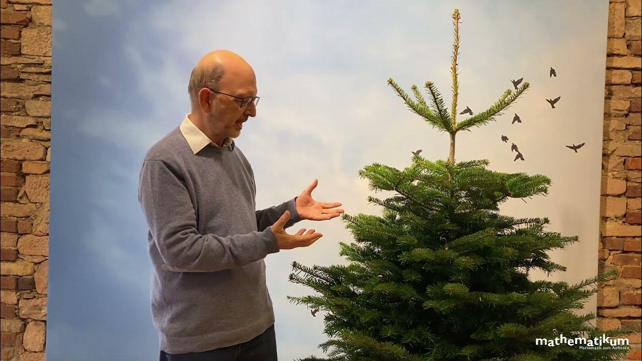 Wie viele Nadeln hat der Tannenbaum? YouTube