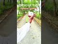 #cricket ff 65#cricket #viral #spinner bowling 🏏🏏🏏