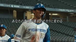 イベント盛りだくさん！4/14(金)～6/11(日)31試合のチケットを3/15(水