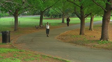 High pollen count causing allergic reaction