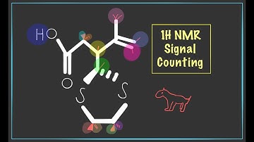 1H NMR Signal Counting