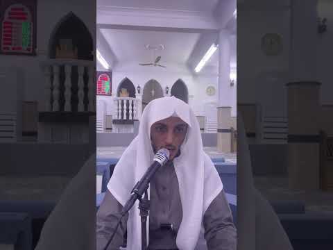 أخصر المختصرات 40 من قوله وكون قبر لحدا إلى قوله ولو بجعل جريدة رطبة في القبر 