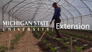 Welcome to MSU Extension - Agriculture & Agribusiness