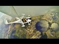 Pipistrel Sinus Motorglider Demo Flight with Rand Vollmer - Sebring Sport Aviation Expo