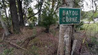 Forgotten Bayou Trailer