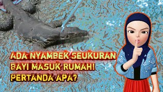 NYAMBEK BESAR | APA ITU NYAMBEK? | Pertanda apa Biawak Besar Masuk Rumah?