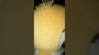 Simba Farts Has To Go To The Litter Box