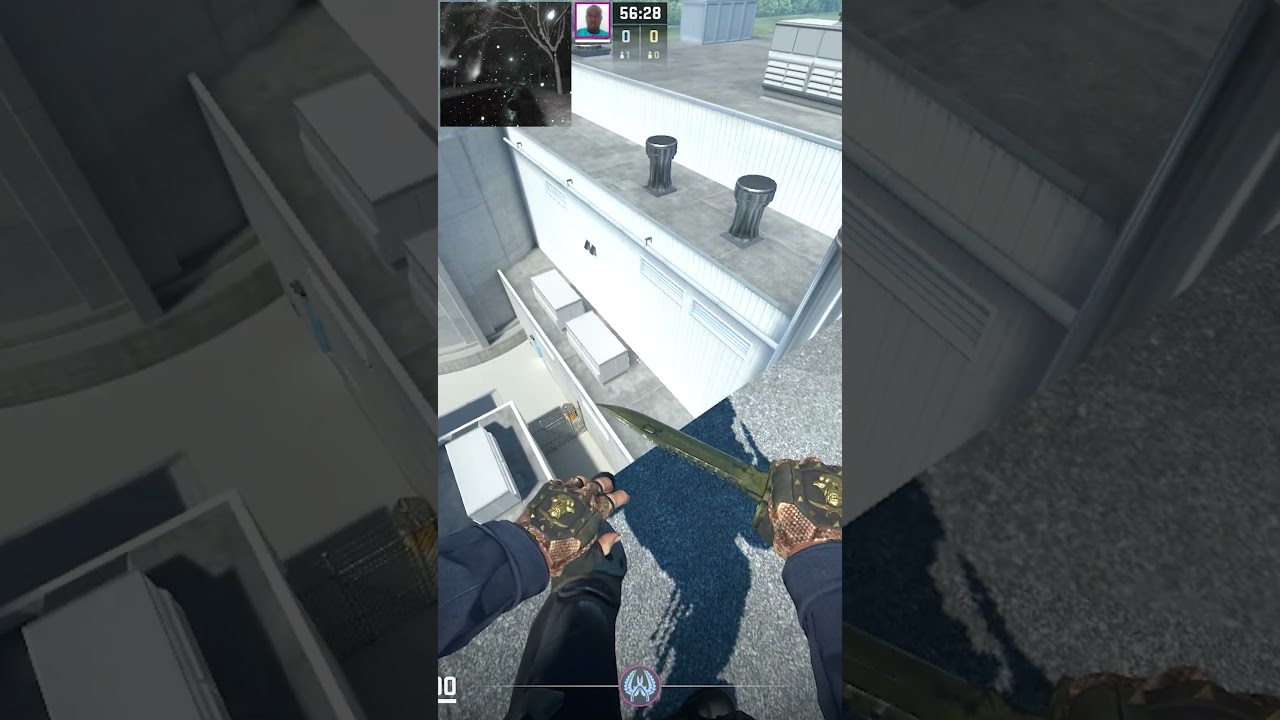 🐧 Day 85 | edgebug everyday till i find my people