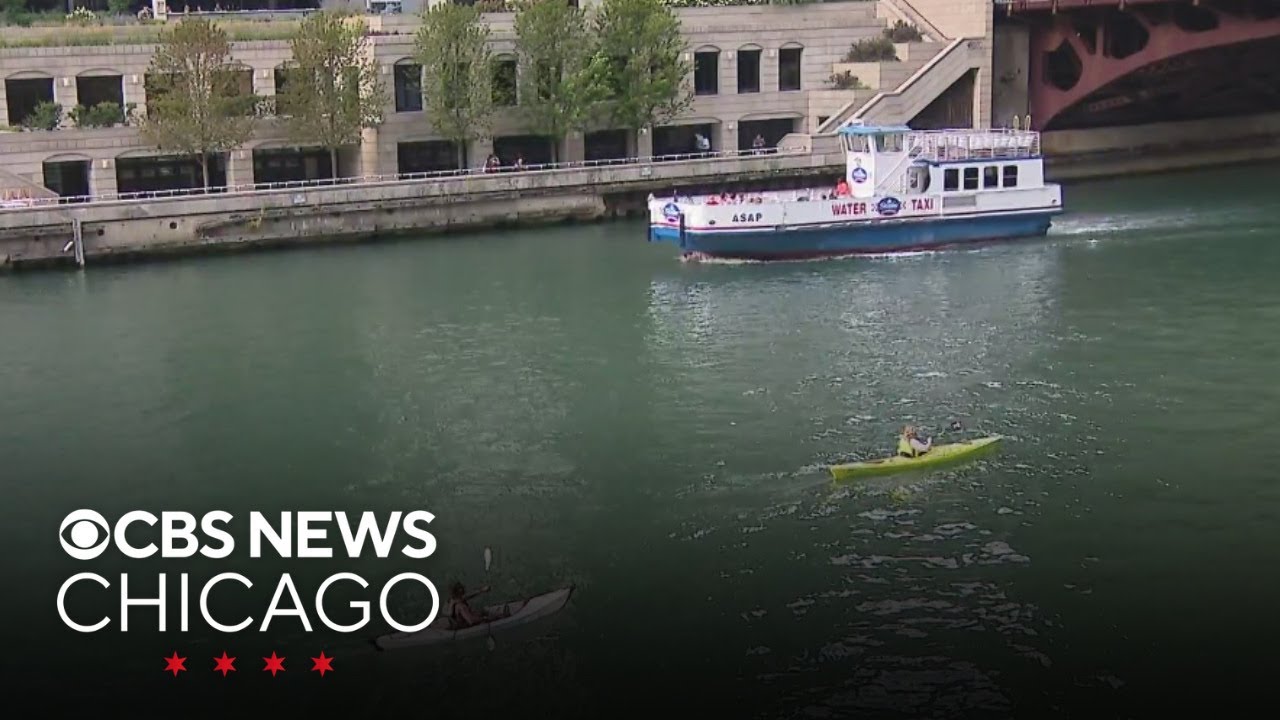 Chicago River Swim returns this weekend