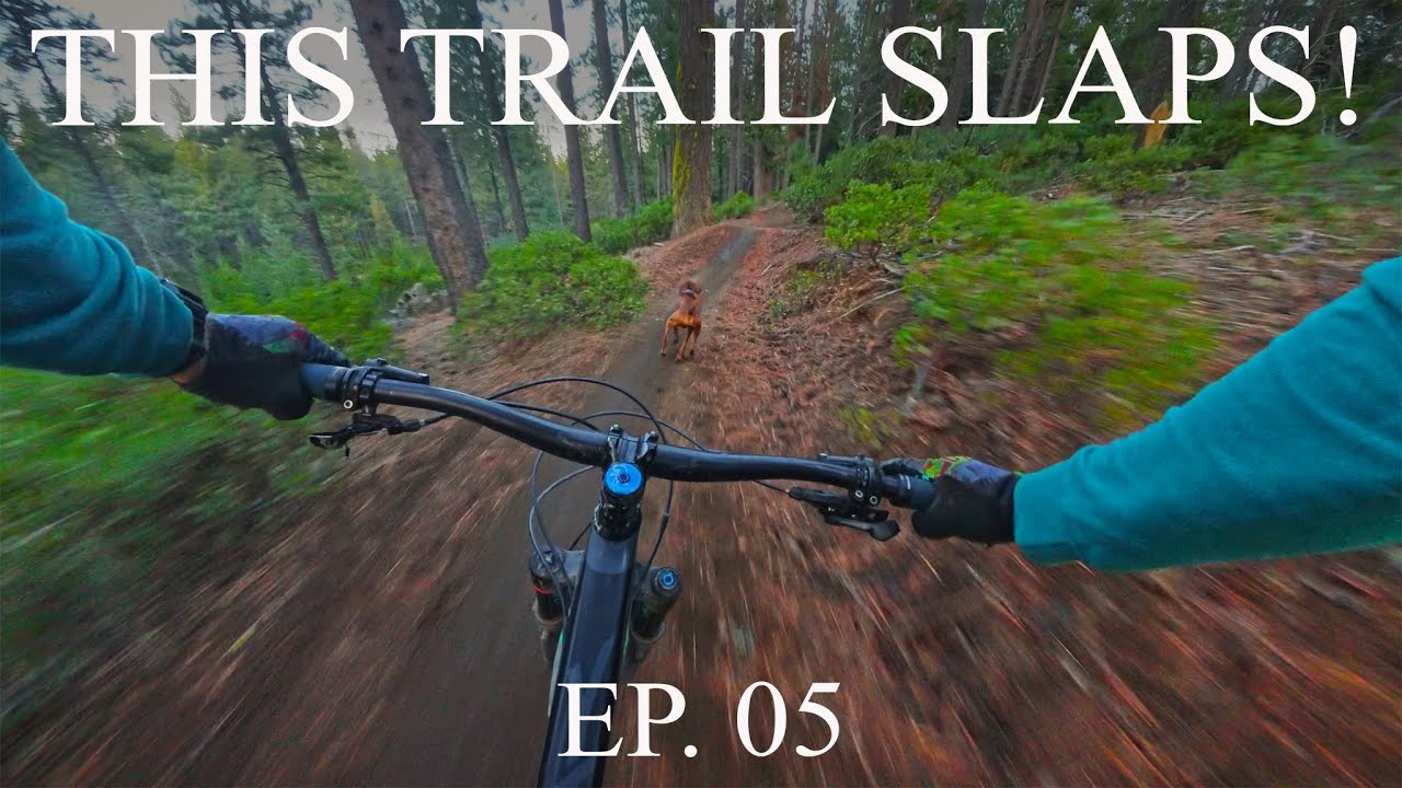 Is This The Best Mountain Bike Trail in Bend Oregon?