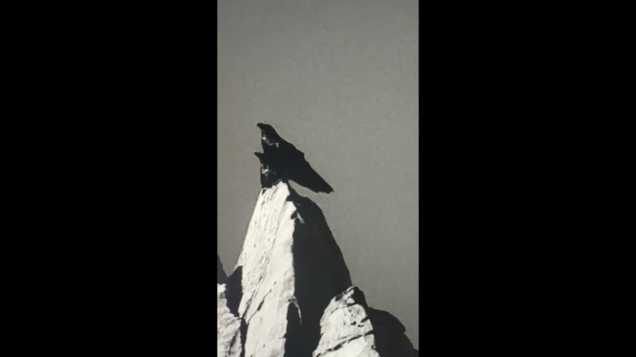 The Honey House Is Empty Now by Mathew Lee Cothran (Official Trailer)