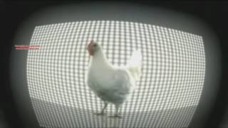 Download Lagu Chicken song - [Geco Remix] MP3