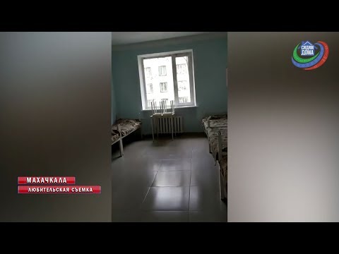 Video: Infeksioni I Sipërm I Frymëmarrjes (klamidia) Tek Macet