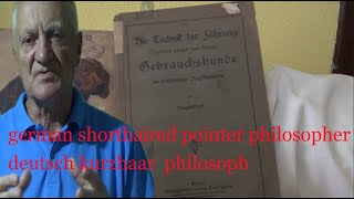 Kurzhaar Of Djurić Nemački Kratkodlaki Ptičar Pas Filozof