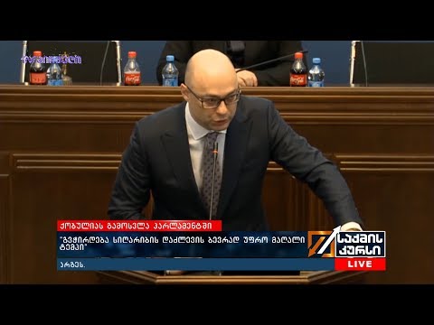 რა კითხვები ჰქონდათ დეპუტატებს ეკონომიკის მინისტრთან?