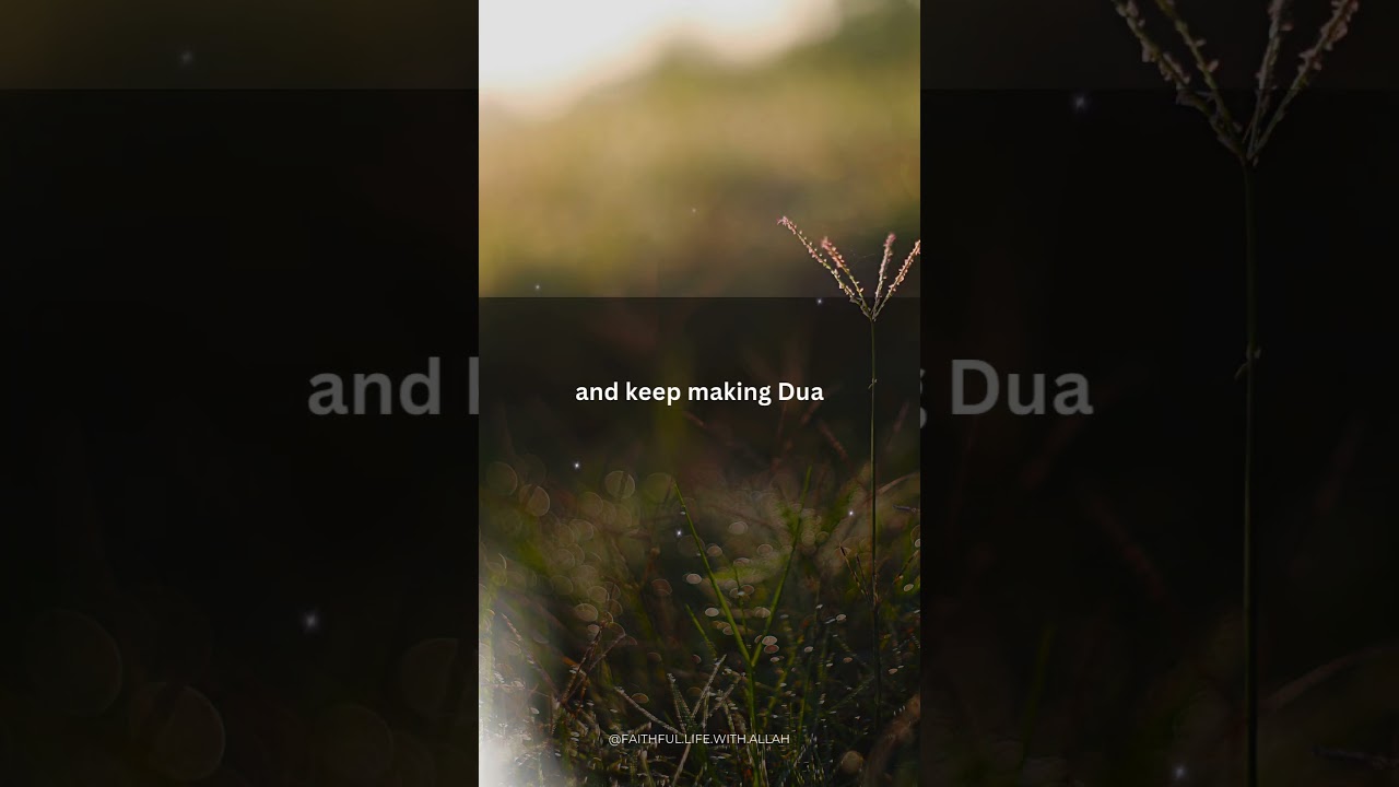 The Mercy of Allah SWT